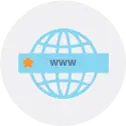 www icon